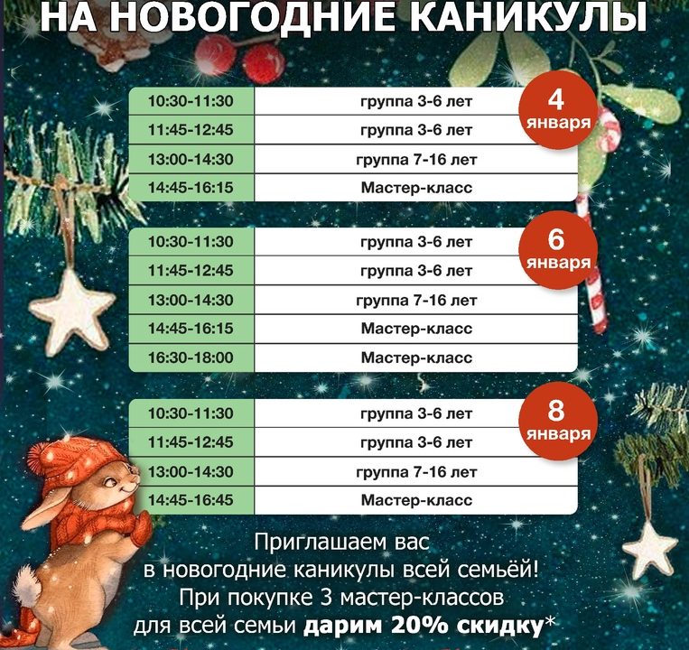 РАСПИСАНИЕ ЗАНЯТИЙ НА НОВОГОДНИЕ КАНИКУЛЫ??